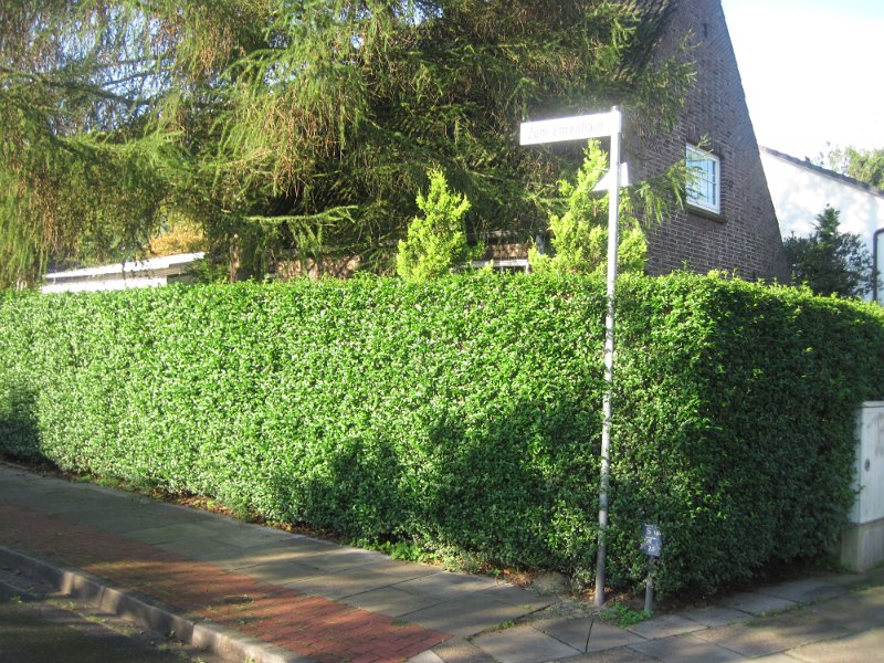 RTF FC St Pauli 083